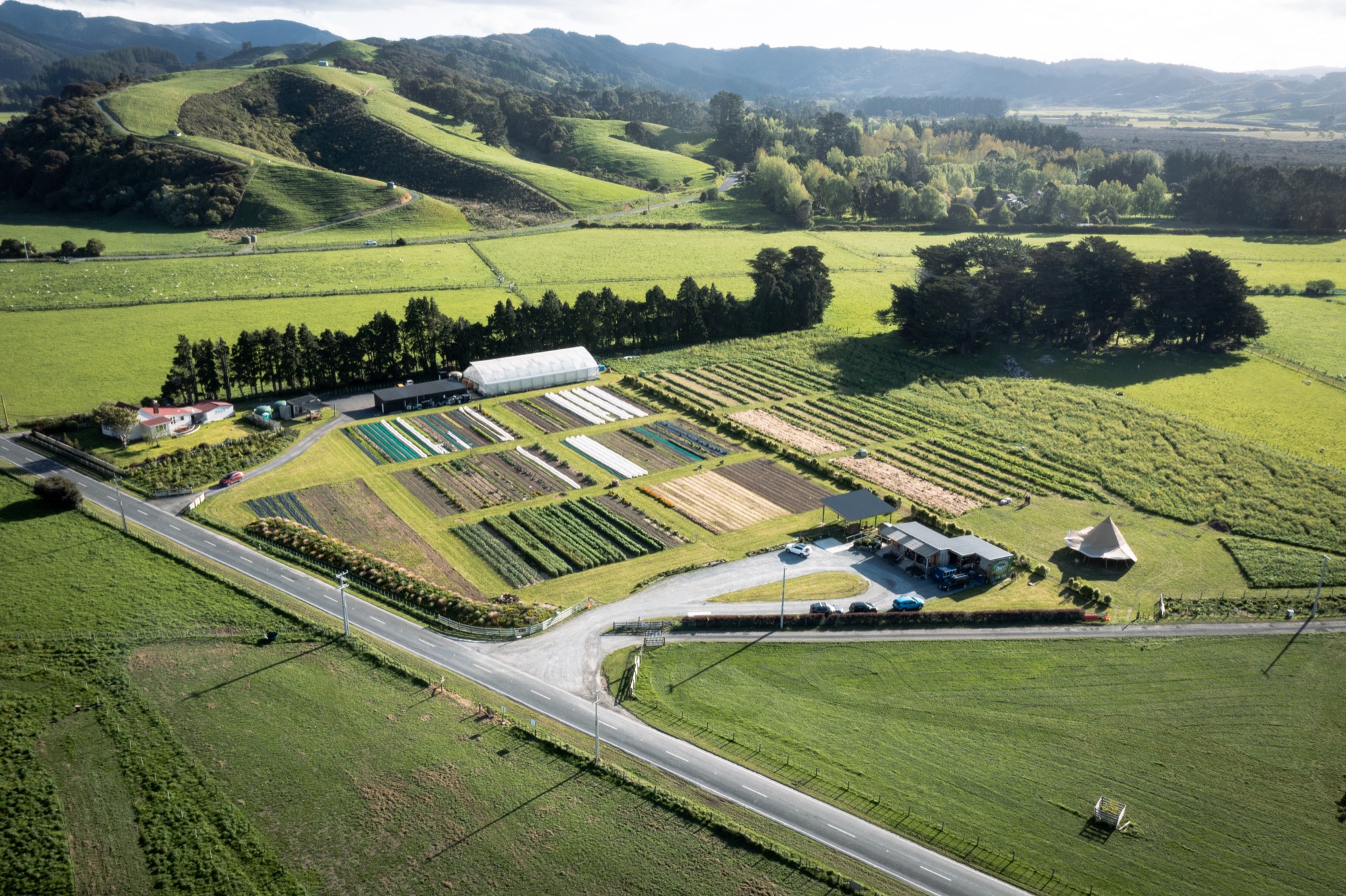 The market garden and Whitemans Valley from above