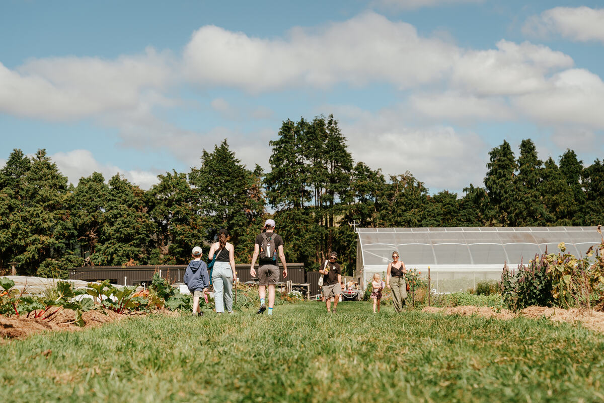 Visitors wandering the market garden beds