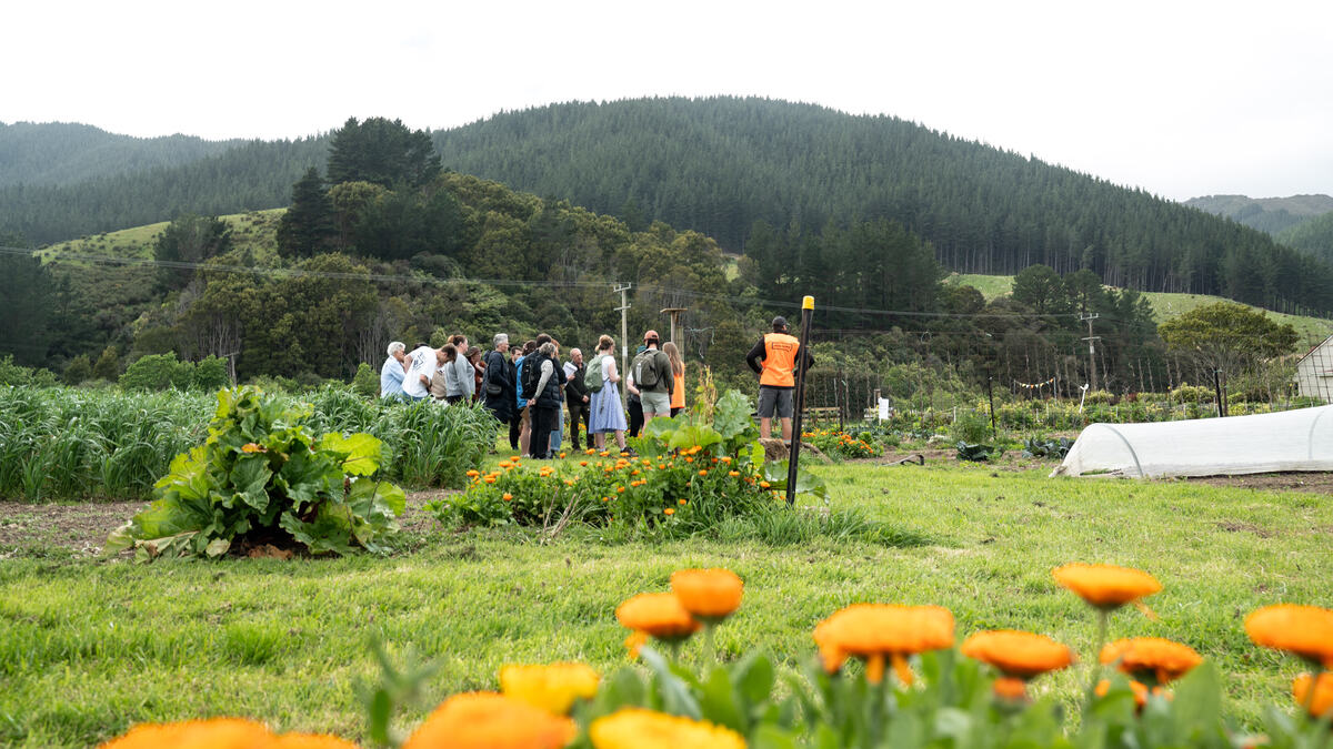 A tour weaving through the flowers