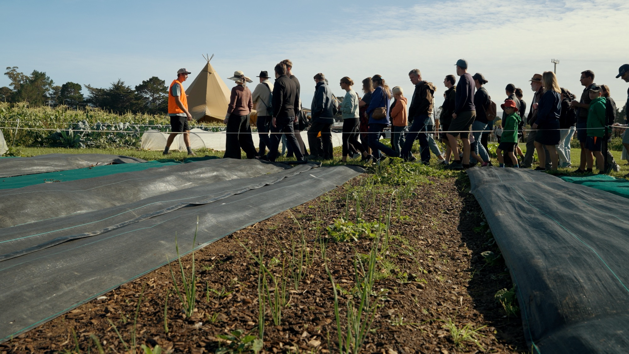 Walking the beds at Mangaroa Farms