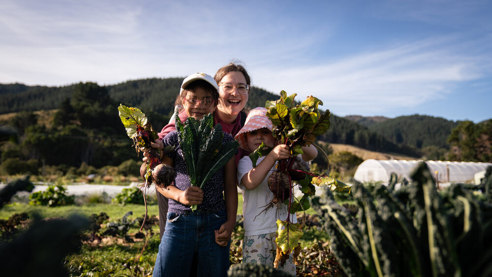 Harvest bunches held high in the market garden