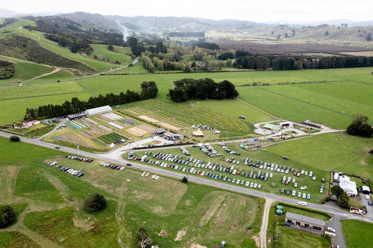 The festival from above - gardens, marquees and the valley