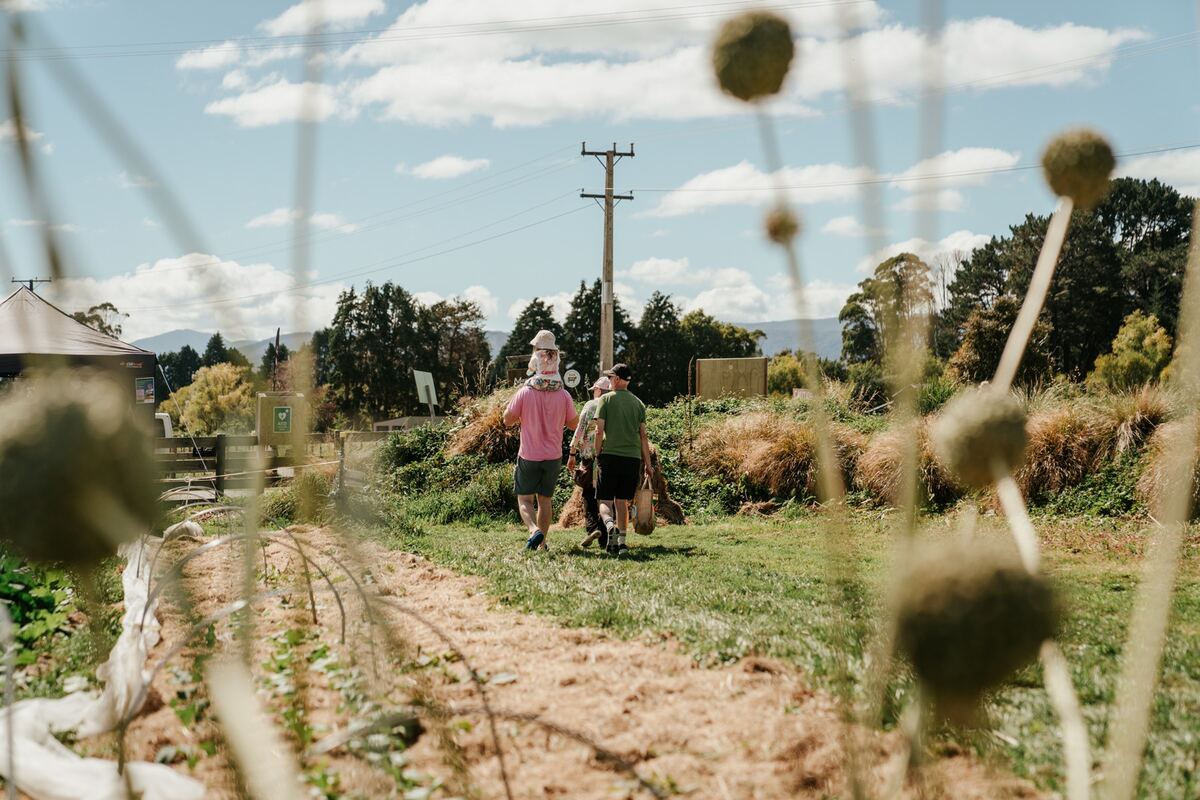 Permaculture orchard tours