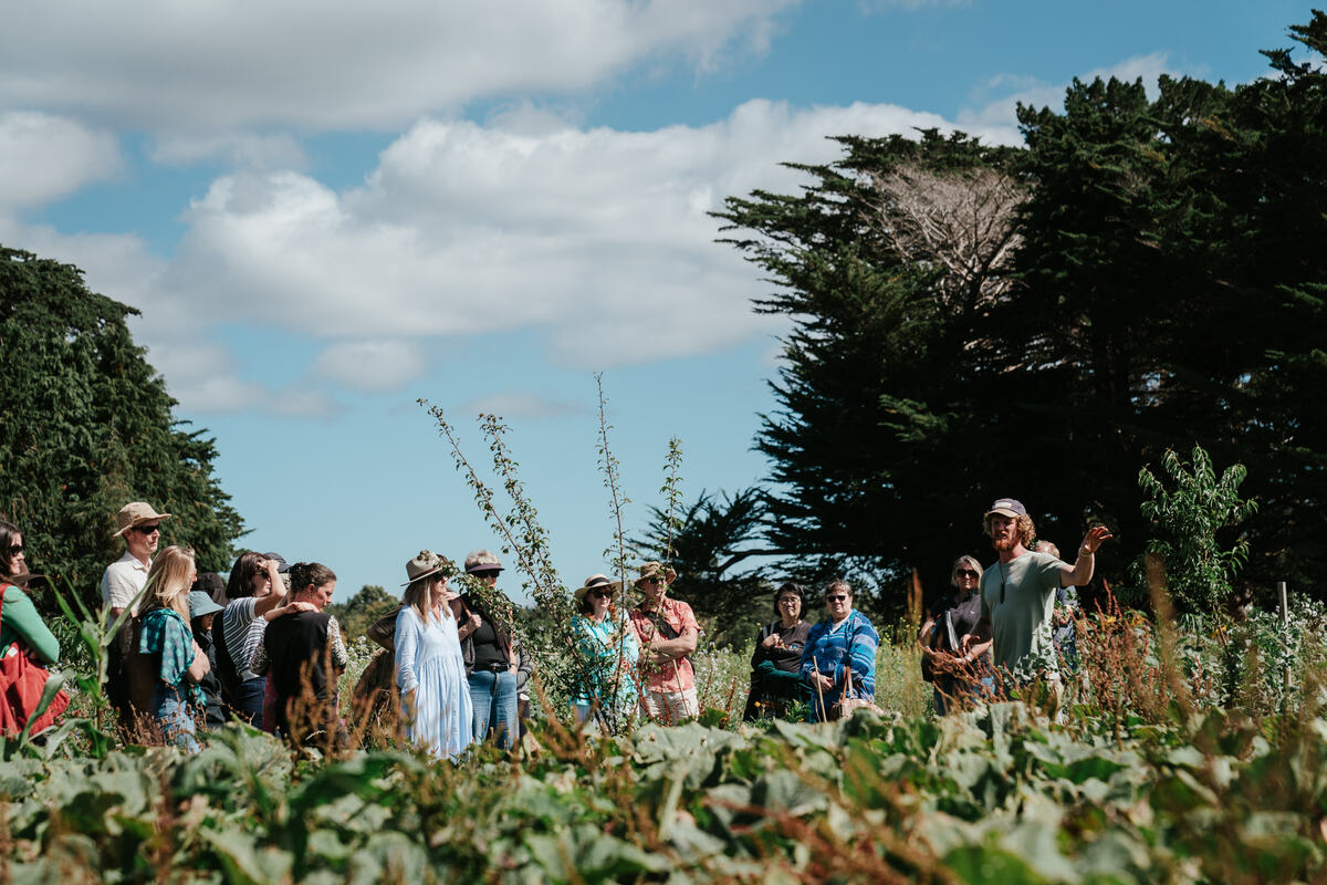 Crowd wandering through the gardens
