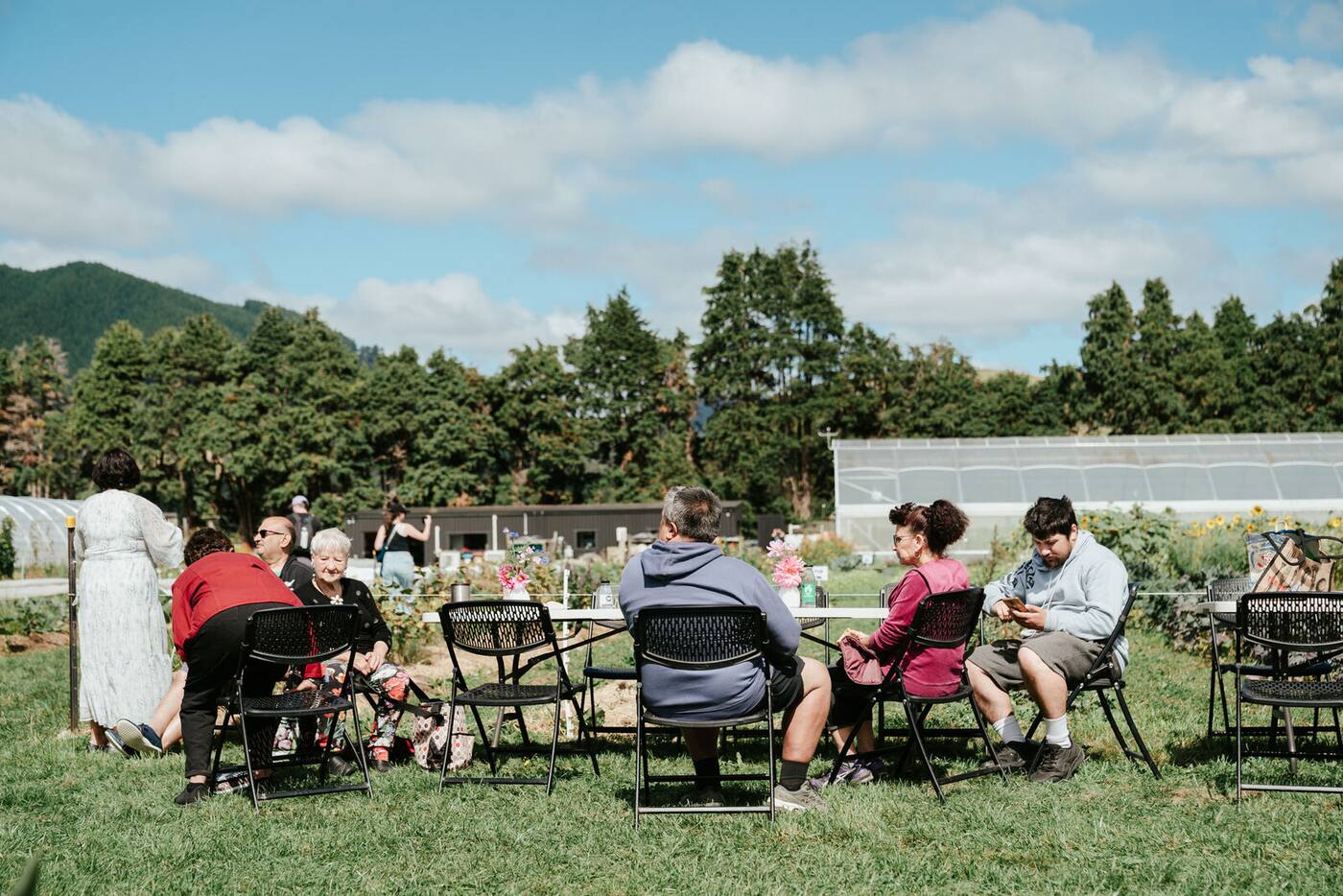 Scenes from Mangaroa Farms festivals