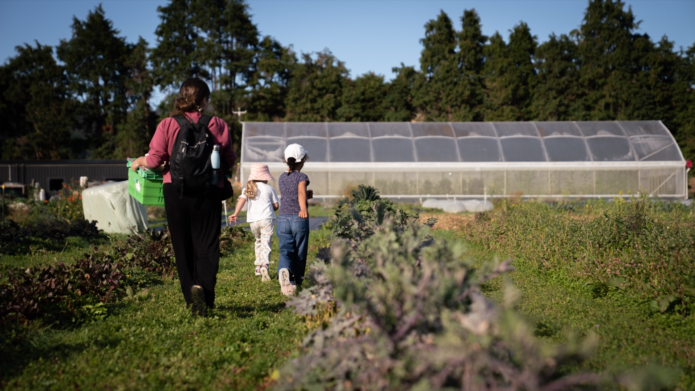 Hands-on learning on the whenua at Earth School.