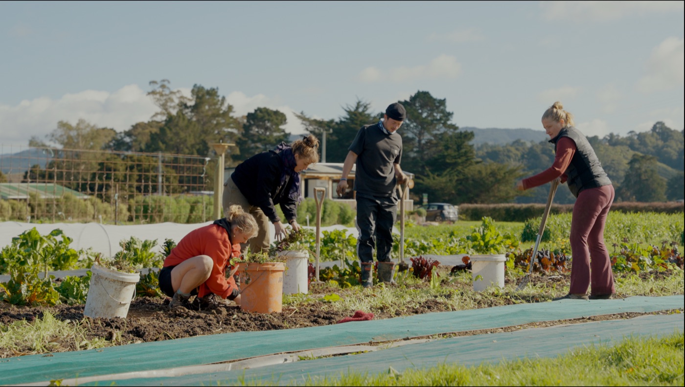 Working in the gardens at Mangaroa Farms