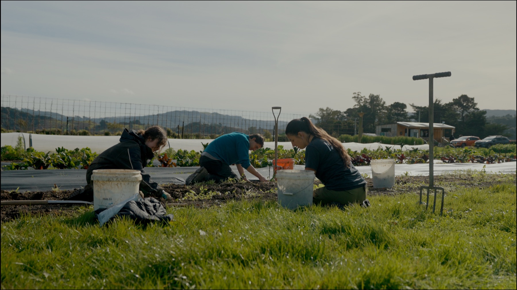 The team working together in the market garden