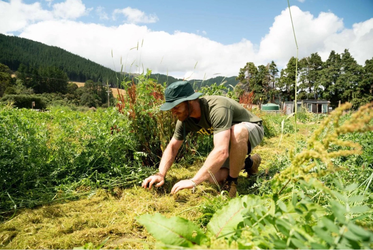A farmer working in the garden under blue sky